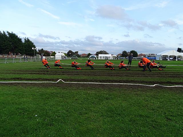 36600544954 4552437522 o