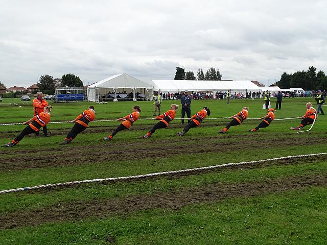 36600608184 09d86be857 o