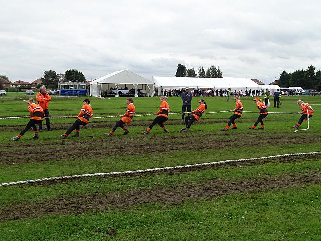 36600609624 6a05a237e8 o