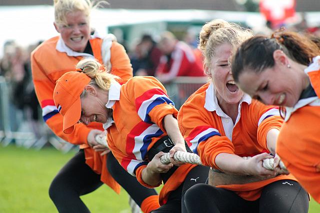 36625075674 155aa6ce6e o