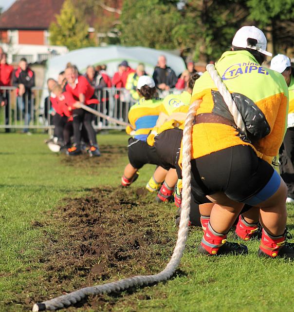 36640443943 b2abed950f o