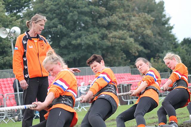 36687760883 291d330f09 o