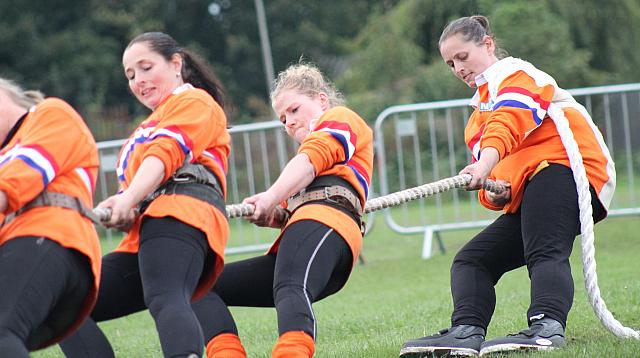 36687761893 26dcc0a6dc o