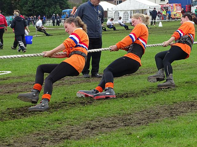 37054433130 78d0275a63 o