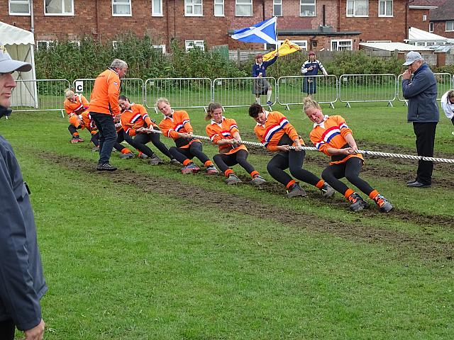 37280743552 2abf74bb86 o