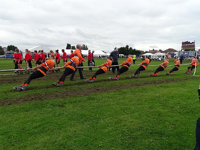 37280756482 32a56f628f o