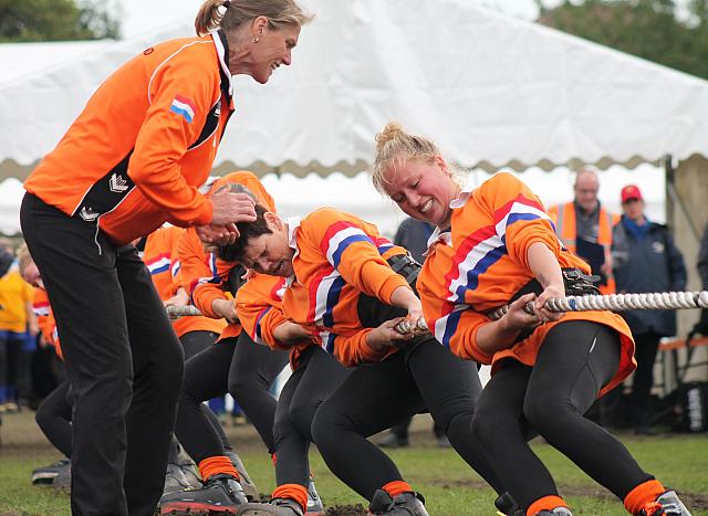 37310615656 6bc263a72c o