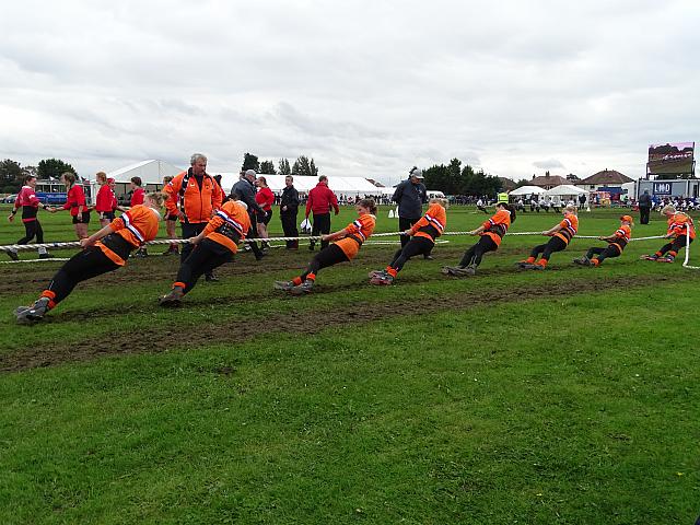 37453131475 f06f045e3c o