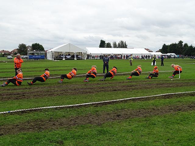 37453146985 e49f3898ab o