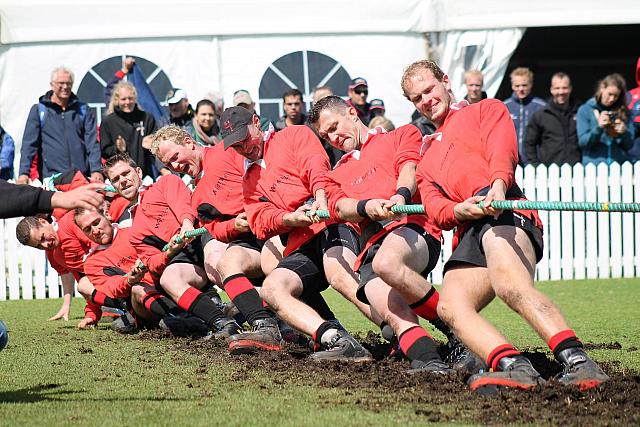 42985294380 caeee3815e o