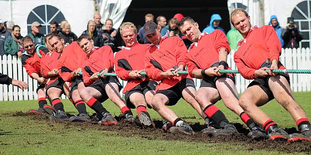 44077145084 0ba4857f72 o