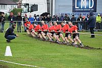 22007826 1652581398095280 7887396221650860283 n