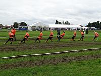 36600609624 6a05a237e8 o