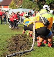 36640443943 b2abed950f o