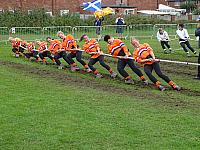 37054426180 9f6fb40ebc o