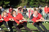 37263046756 1d2434baff o