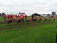 37280756482 32a56f628f o