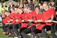 37310223211 fa479ccd24 o