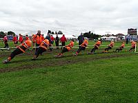 37453131475 f06f045e3c o