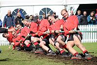 42985294380 caeee3815e o